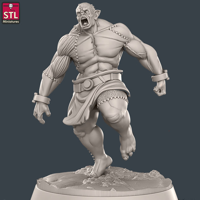 Flesh Golem