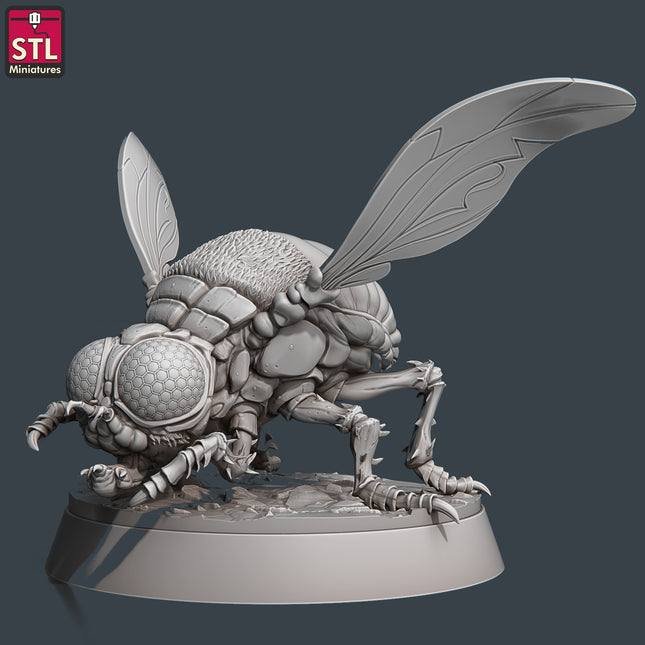 Giant Fly A
