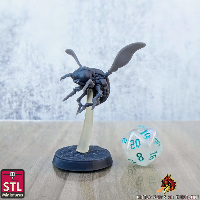 Giant Fly D