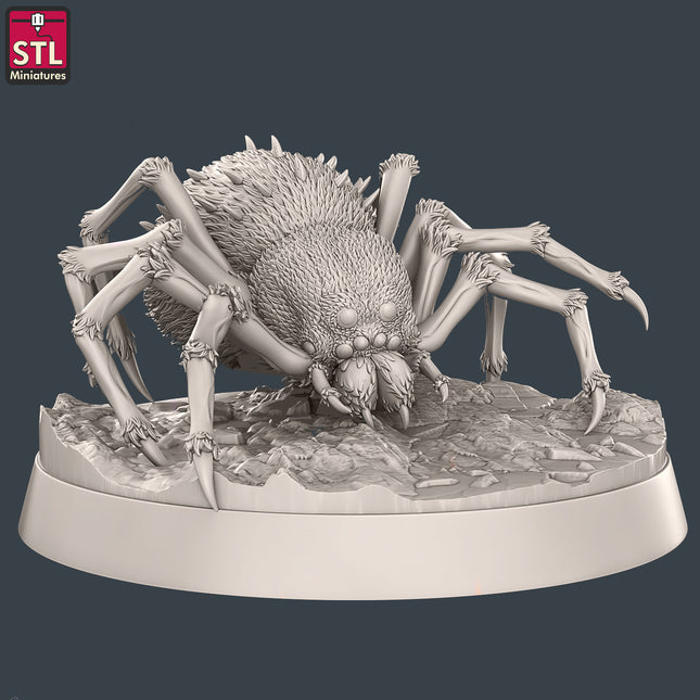 Giant Spider C