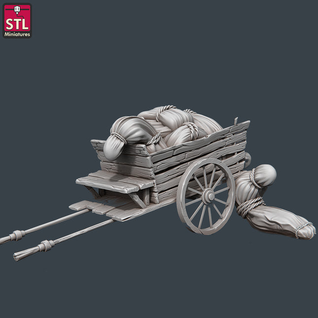 Morgue Cart