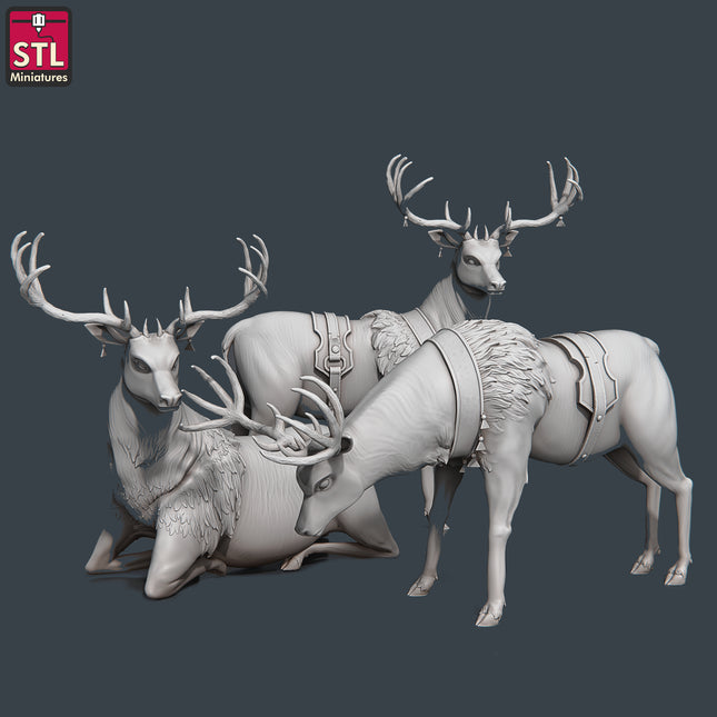 Noble Deer