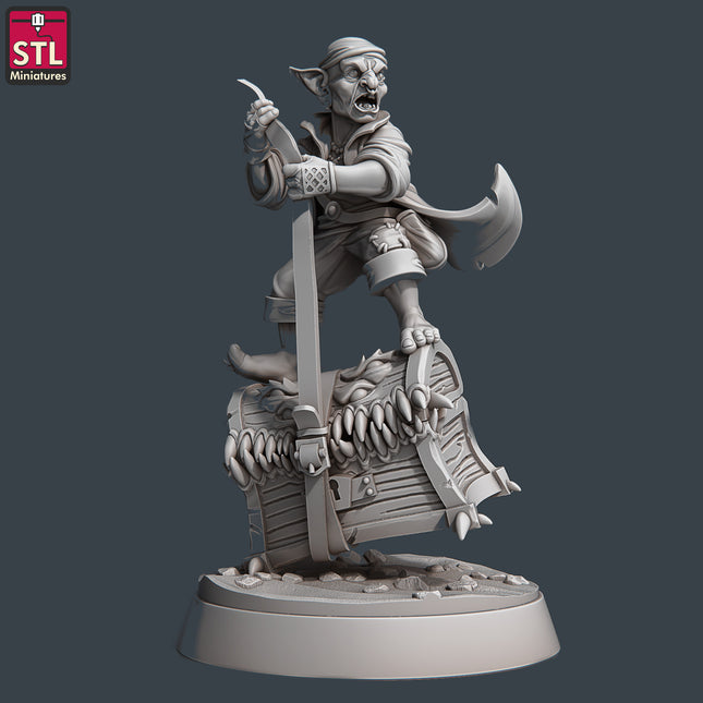 Treasure Hunter C