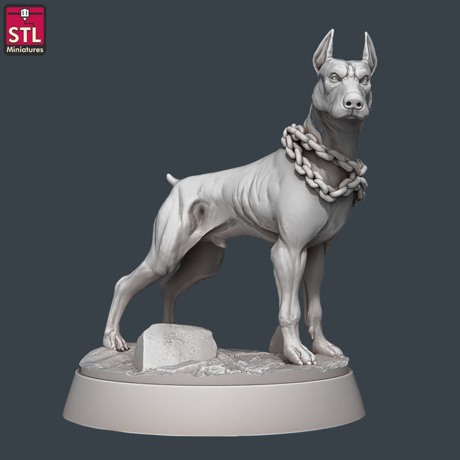 Wild Dog C