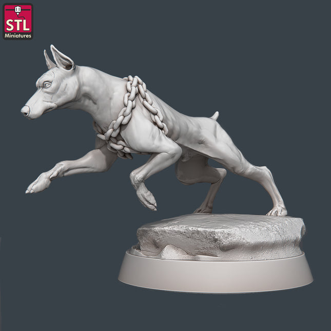 Wild Dog E