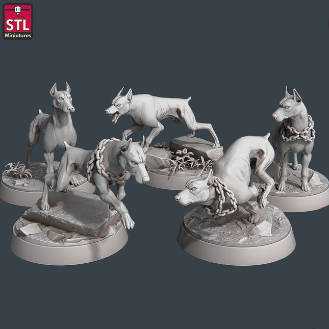 Wild Dogs Set