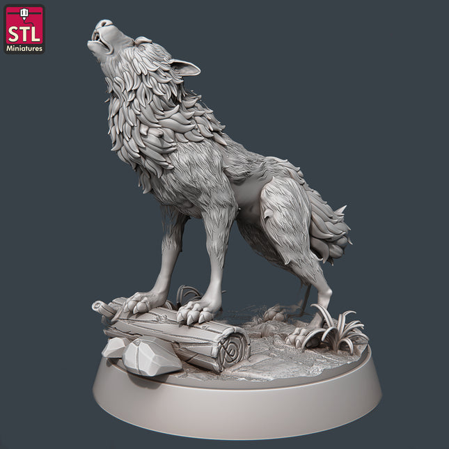Wolf A
