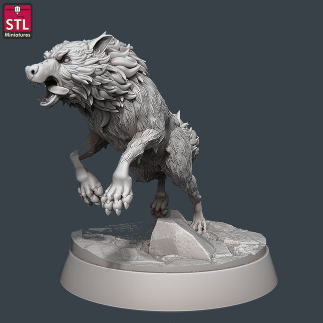 Wolf B
