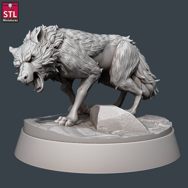 Wolf C