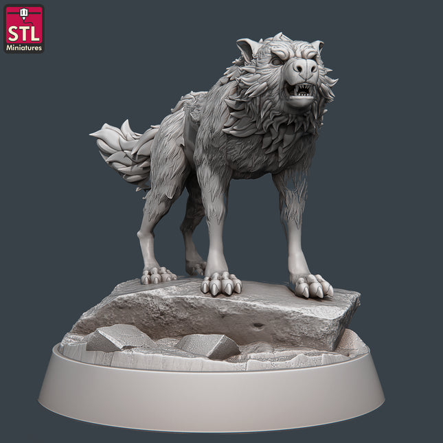 Wolf D