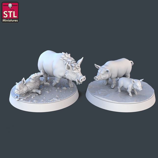 Pigs